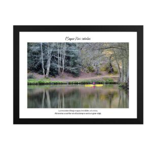 (Seguir) las señales